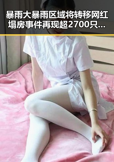暴雨大暴雨区域将转移网红塌房事件再现超2700只个股上涨的背后乱象