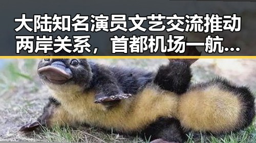 大陆知名演员文艺交流推动两岸关系，首都机场一航班起落架冒烟引发关注
