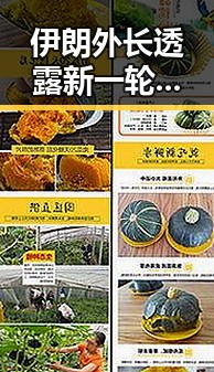 伊朗外长透露新一轮伊美谈判或在瑞士举行 齐达内二儿子世界杯首秀引关注
