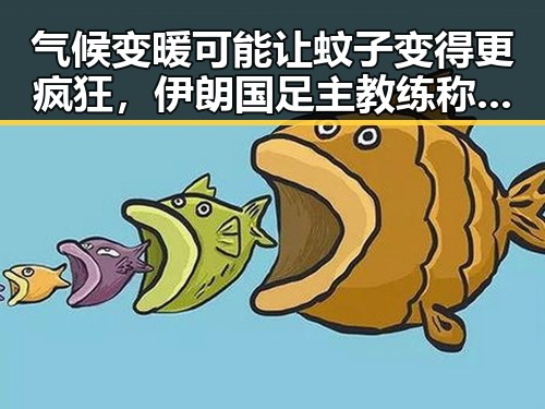 气候变暖可能让蚊子变得更疯狂,伊朗国足主教练称球队赛后突然被勒令离开美国