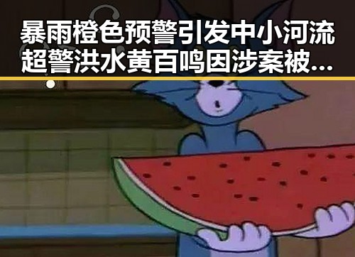 暴雨橙色预警引发中小河流超警洪水 黄百鸣因涉案被拘留