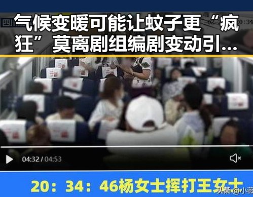 气候变暖可能让蚊子更“疯狂”莫离剧组编剧变动引发白鹿无关争议
