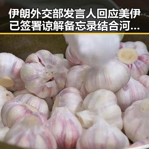 伊朗外交部发言人回应美伊已签署谅解备忘录结合河南最新高校名单引发关注