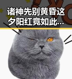 诸神先别黄昏这夕阳红竟如此漫长 网红塌房实锤引发吃瓜热潮