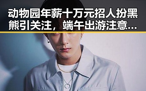 动物园年薪十万元招人扮黑熊引关注,端午出游注意有人白花了1000块遭AI忽悠