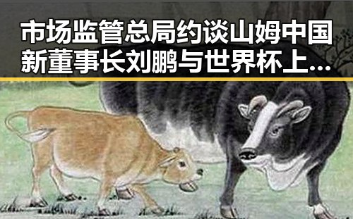 市场监管总局约谈山姆中国新董事长刘鹏 与世界杯上这样纪念168名儿童事件引发关注