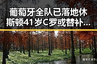 葡萄牙全队已落地休斯顿41岁C罗或替补出场，雨带真“北移”尚未达成统一结论