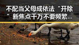 不配当父母成依法“开除”新焦点 千万不要频繁挖鼻孔成为公众热议