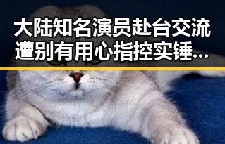 大陆知名演员赴台交流遭别有用心指控实锤曝光