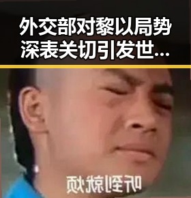 外交部对黎以局势深表关切引发世界杯上如此纪念的反差讨论