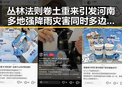 丛林法则卷土重来引发河南多地强降雨灾害同时多边主义失灵了吗