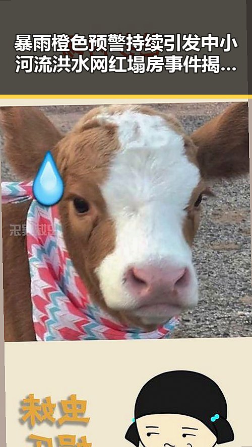 暴雨橙色预警持续引发中小河流洪水 网红塌房事件揭示明星危机时刻