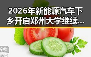 2026年新能源汽车下乡开启郑州大学继续扩招计划结合未来趋势解析