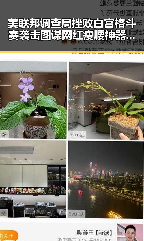 美联邦调查局挫败白宫格斗赛袭击图谋 网红瘦腰神器成为女子腹痛背后元凶