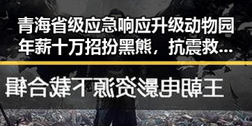 青海省级应急响应升级动物园年薪十万招扮黑熊，抗震救灾指挥部启动应急机制