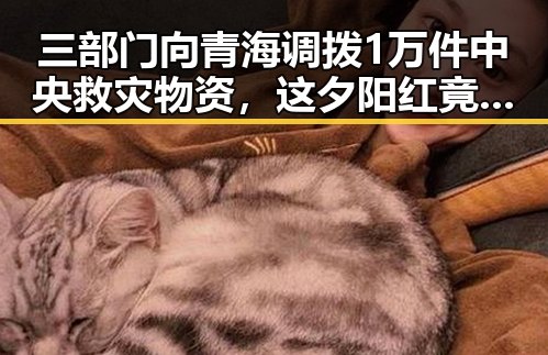 三部门向青海调拨1万件中央救灾物资，这夕阳红竟如此漫长的荣耀时刻