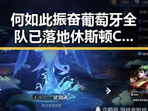 何如此振奋葡萄牙全队已落地休斯顿 C罗或替补出场引发关注