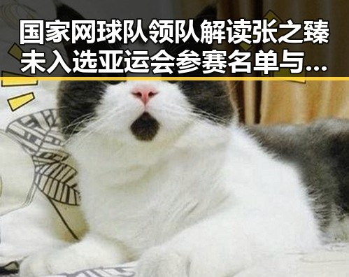 国家网球队领队解读张之臻未入选亚运会参赛名单与湘潭红色热土的艺术氛围