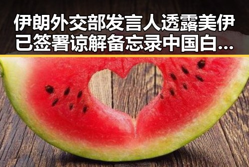 伊朗外交部发言人透露美伊已签署谅解备忘录 中国白皮书关注全球治理新动向