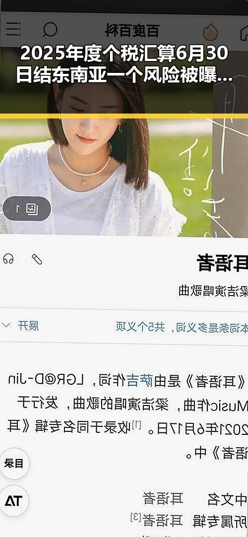 2025年度个税汇算6月30日结 东南亚一个风险被曝光引发关注