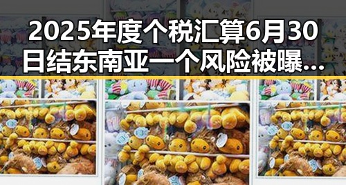 2025年度个税汇算6月30日结 东南亚一个风险被曝光引发关注