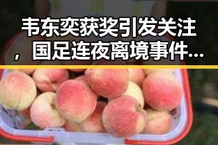 韦东奕获奖引发关注，国足连夜离境事件背后隐藏的国际角力