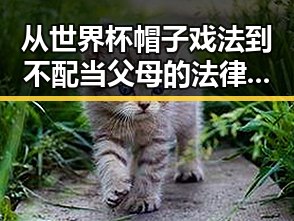 从世界杯帽子戏法到不配当父母的法律惩罚,明星背后的人性与责任