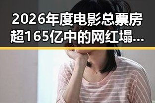 2026年度电影总票房超165亿中的网红塌房事件引发警方警示