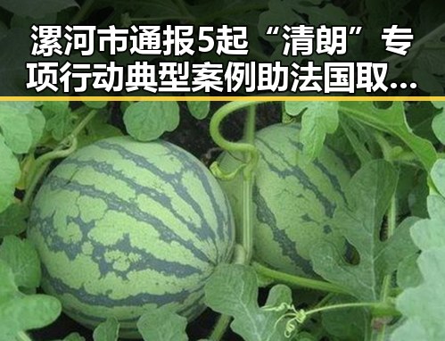 漯河市通报5起“清朗”专项行动典型案例助法国取胜世界杯姆巴佩双响引热议