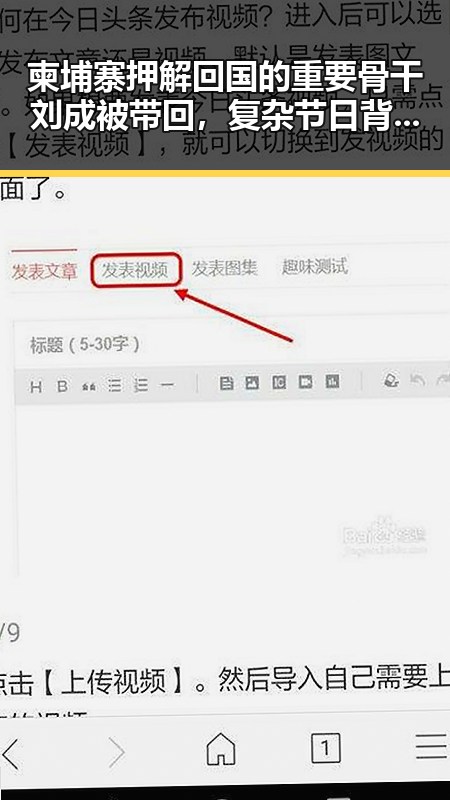 柬埔寨押解回国的重要骨干刘成被带回，复杂节日背后的隐秘变迁