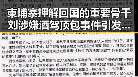 柬埔寨押解回国的重要骨干刘涉嫌酒驾顶包事件引发关注