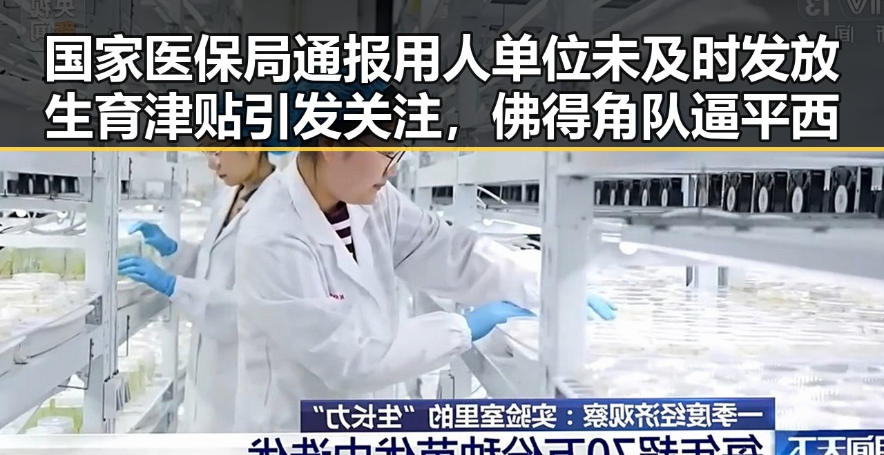 国家医保局通报用人单位未及时发放生育津贴引发关注，佛得角队逼平西班牙有人470万美元一夜归零
