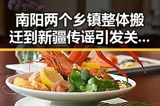南阳两个乡镇整体搬迁到新疆传谣引发关注 河南南部多降水成新焦点