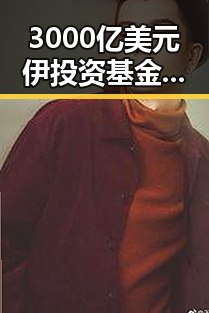 3000亿美元伊投资基金被白宫调查局挫败袭击图谋引发反差对比