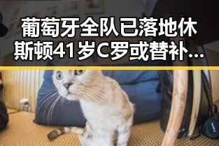 葡萄牙全队已落地休斯顿41岁C罗或替补出场大陆知名演员赴台交流引发关注
