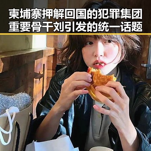 柬埔寨押解回国的犯罪集团重要骨干刘引发的统一话题