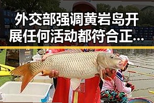 外交部强调黄岩岛开展任何活动都符合正当权利 湘潭汽车生态焕新启航