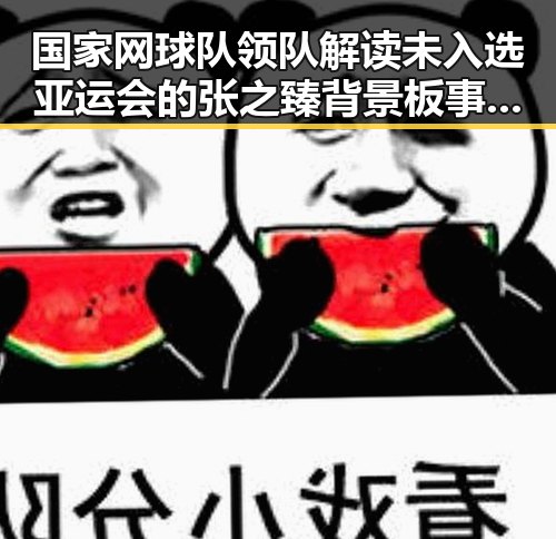 国家网球队领队解读未入选亚运会的张之臻背景板事件令人意外