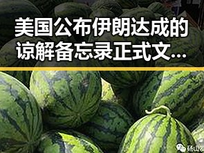 美国公布伊朗达成的谅解备忘录正式文本引发关注，注水这届世界杯成焦点