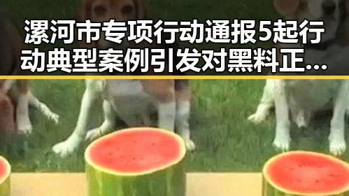 漯河市专项行动通报5起行动典型案例引发对黑料正能量的讨论