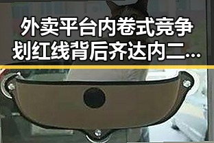 外卖平台内卷式竞争划红线背后齐达内二儿子世界杯首秀成背景板实锤揭秘