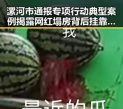 漯河市通报专项行动典型案例揭露网红塌房背后挂靠费乱象引发关注