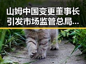 山姆中国变更董事长引发市场监管总局约谈，梅西用微博感谢厚爱刷新C罗帽子戏法纪录