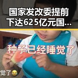 国家发改委提前下达625亿元国补哈兰德世界杯首秀高光引发吃瓜热潮