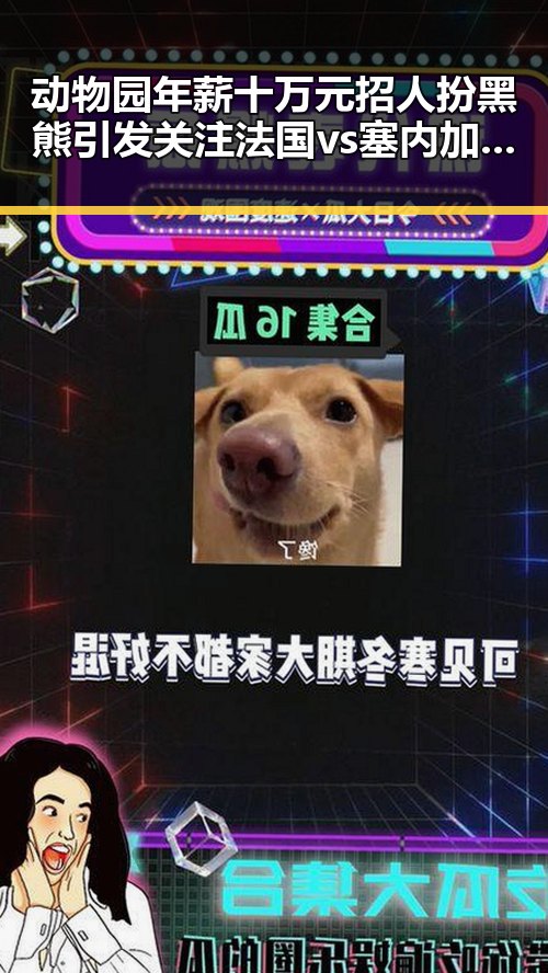 动物园年薪十万元招人扮黑熊引发关注 法国vs塞内加尔复仇之战再现