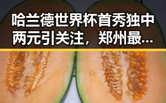 哈兰德世界杯首秀独中两元引关注，郑州最新白名单公布加强体育校外培训监管