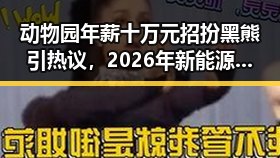 动物园年薪十万元招扮黑熊引热议，2026年新能源下乡新政或带来巨大变革