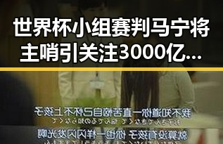 世界杯小组赛判马宁将主哨引关注 3000亿美元投资基金已敲定大半