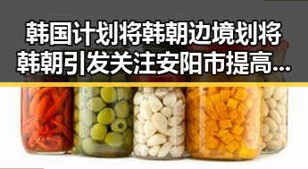 韩国计划将韩朝边境划将韩朝引发关注安阳市提高城乡低保标准展现黑料正能量的反差
