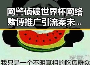 网警侦破世界杯网络赌博推广引流案未来还能否领到外卖红包引发关注